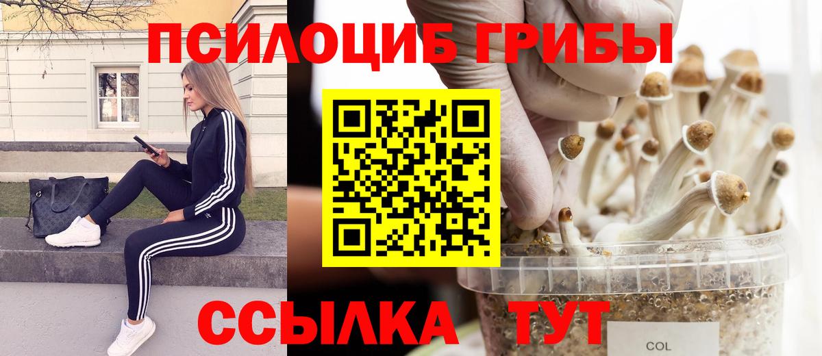 Галлюциногенные грибы Magic Shrooms  Вход с VPN  Джанкой  Псилоцибиновые грибы Psilocybine cubensis 